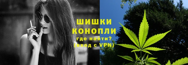 ГАЛЛЮЦИНОГЕННЫЕ ГРИБЫ Алексеевка