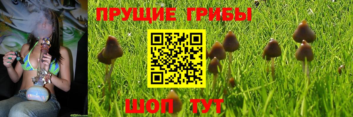 Псилоцибиновые грибы MAGIC MUSHROOMS Хабаровск